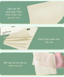 cấu trúc khăn giấy gấu trúc Top One