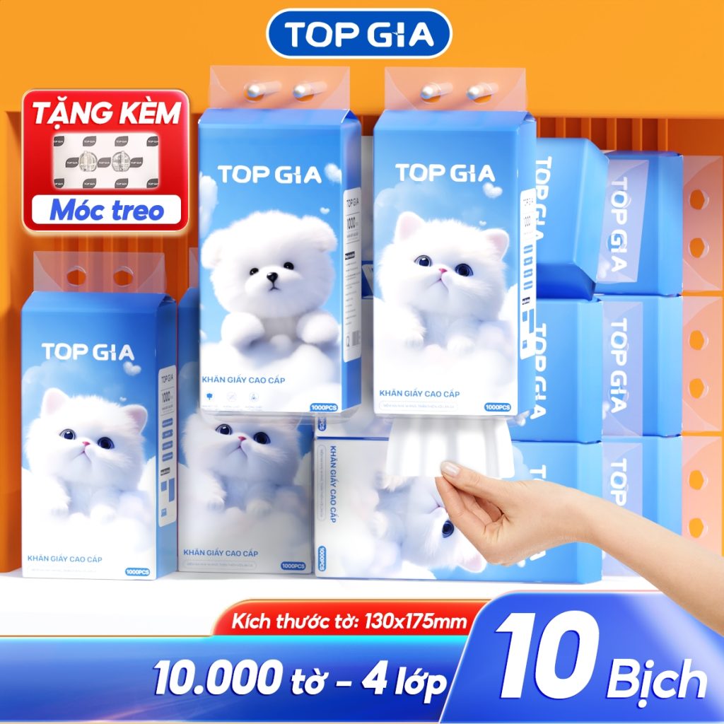 Giấy rút đáy treo tường